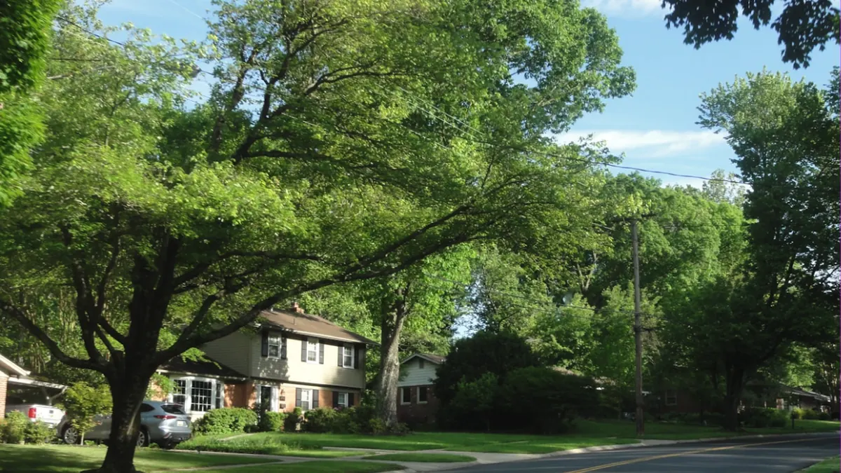 A Broken Arrow residential street shaded by big mature trees, with ranch and split-level homes set back on green lawns under a bright summer sky
